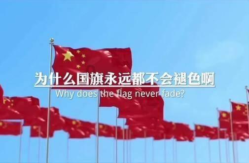 动物帮帮忙保卫家园